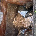 Blicked drainage cleaning