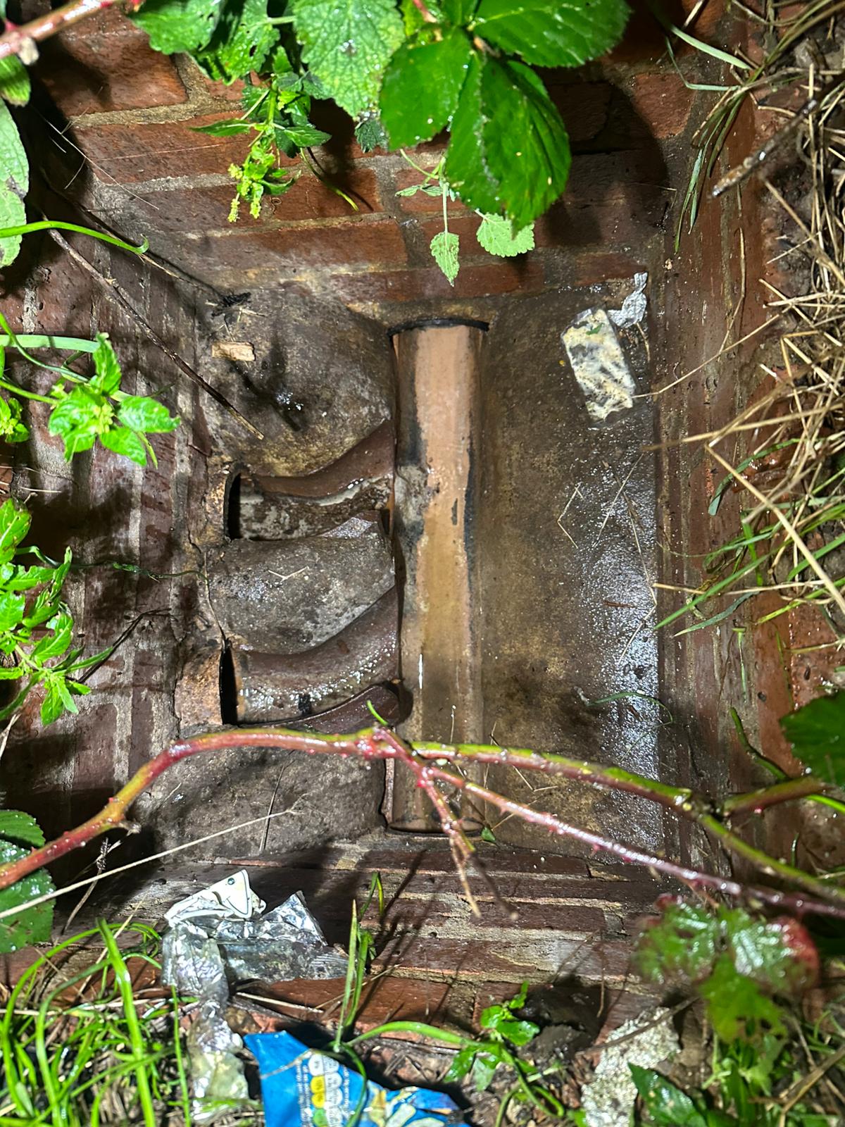 Blocked Toilet