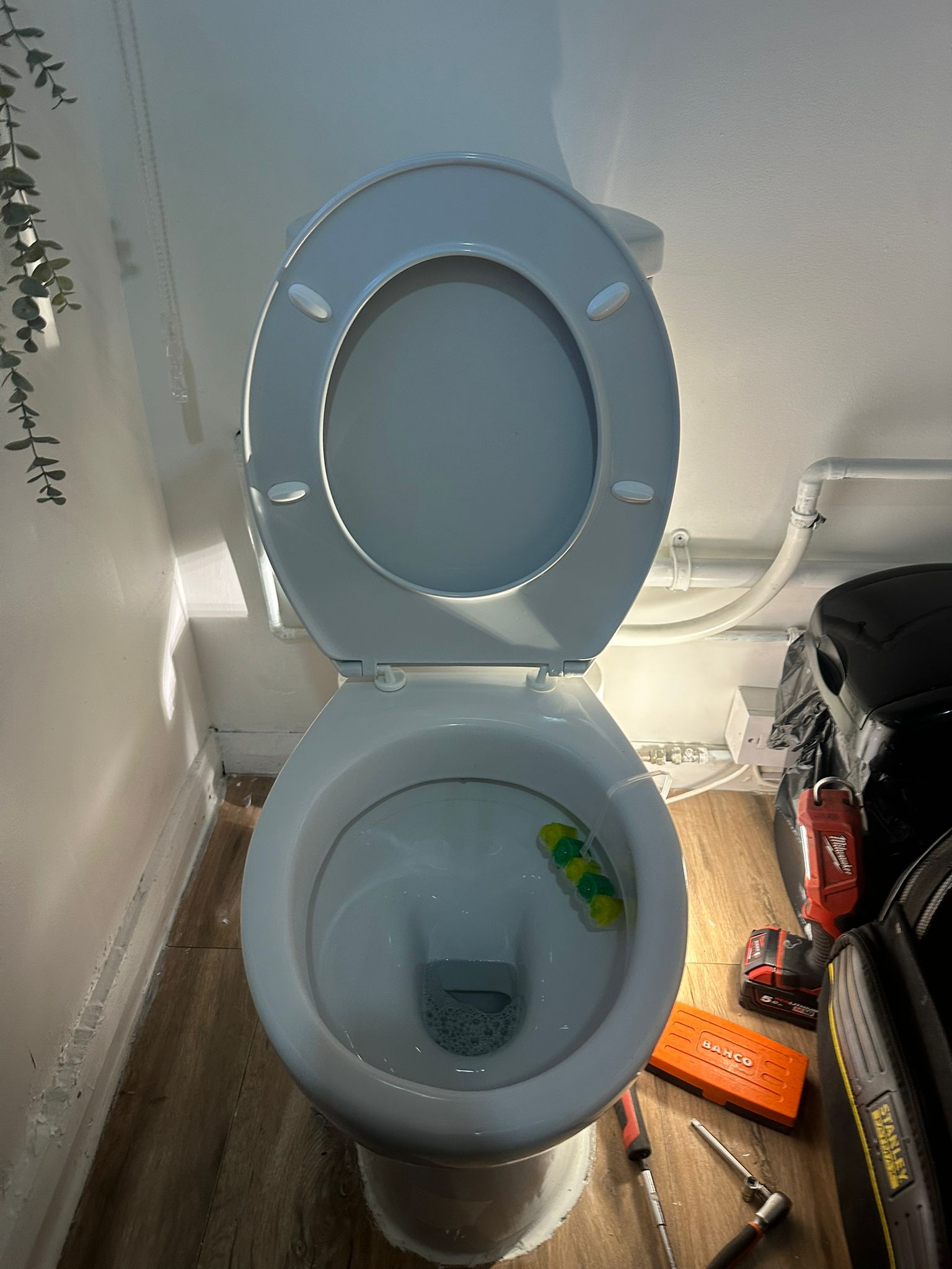 blocked macerator fixing